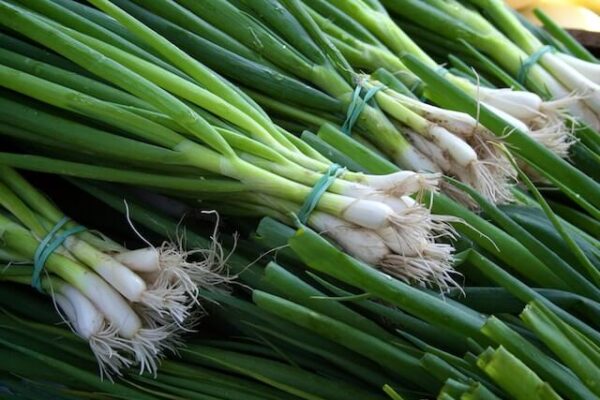 Green Onion Shortage